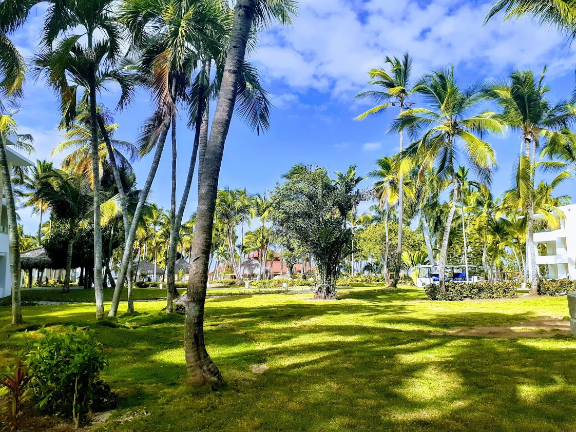 Book your wedding day in Grand Bávaro Princess